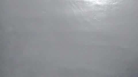 Snapshot of desturbingdetale699 chatting on 10, 1, 2025 desturbingdetale699 online show from 10, 1, 2025