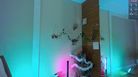 Devil online show from 29, 12, 2024