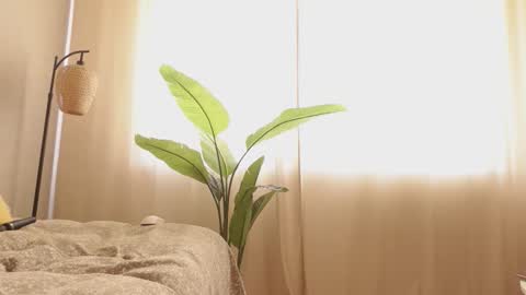 ...Ill be back ... online show from 12, 3, 2026