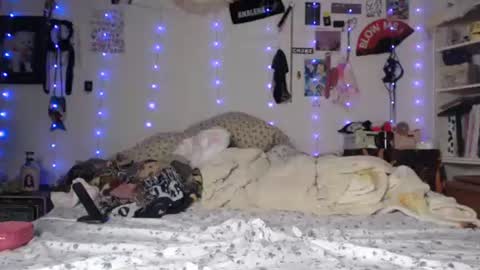 poutyangel online show from 29, 1, 2025