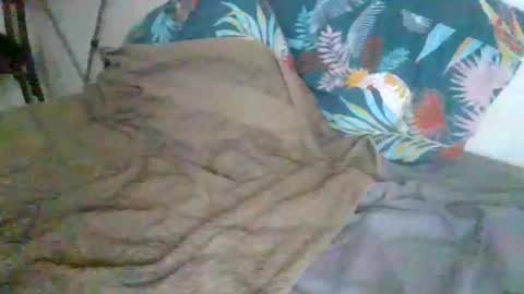 dexterwatchme online show from 15, 1, 2026