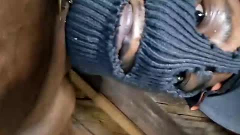 Snapshot of dhbbc454336 chatting on 2, 10, 2025 Marcus D-von Steel as the raunchy ass sniffer thrill me with your online show from 2, 10, 2025