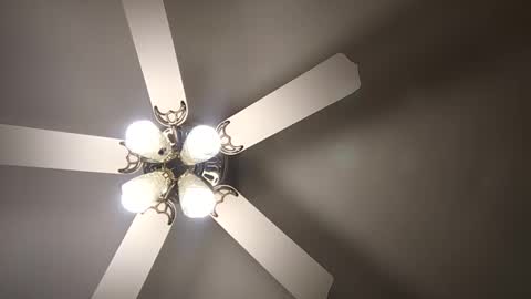 diamonde_steele online show from 12, 12, 2024