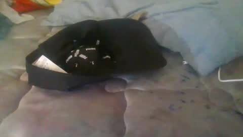 diamondeye112 online show from 23, 12, 2025