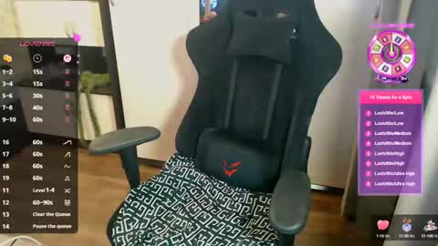 Snapshot of diana_custom chatting on 11, 9, 2025 Diana online show from 11, 9, 2025