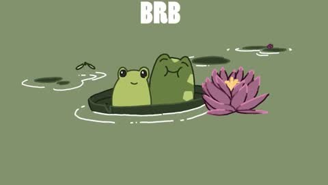 diana online show from 26, 12, 2024