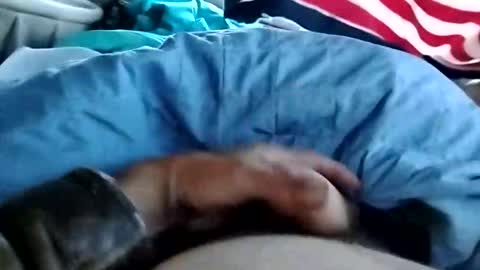 Dickbowen online show from 1, 11, 2025