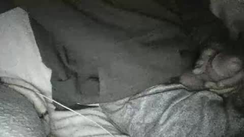 dick online show from 10, 1, 2025