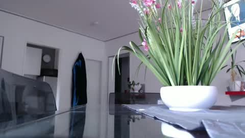 Snapshot of didiegal chatting on 9, 12, 2024 squirtcock online show from 9, 12, 2024