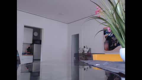 Snapshot of didiegal chatting on 8, 11, 2025 squirtcock online show from 8, 11, 2025