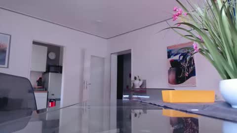 Snapshot of didiegal chatting on 16, 11, 2025 squirtcock online show from 16, 11, 2025