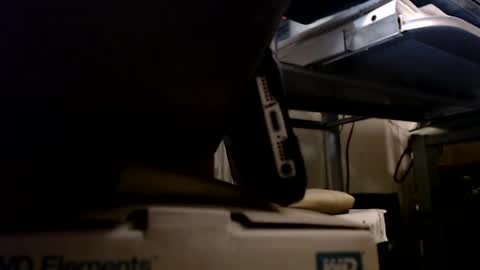 Snapshot of digbird1 chatting on 13, 1, 2025 dbNorth online show from 13, 1, 2025