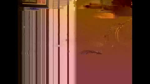 dildosnme22 online show from 13, 1, 2025