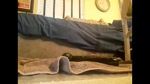 dildosnme22 online show from 10, 3, 2025