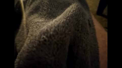 Dilf online show from 16, 1, 2025