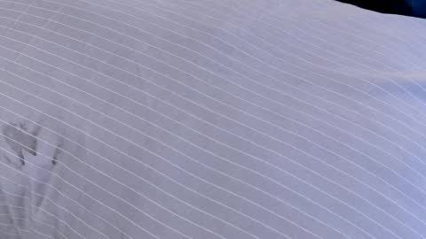 Snapshot of dilldough405 chatting on 24, 2, 2025 Dilldough405 online show from 24, 2, 2025