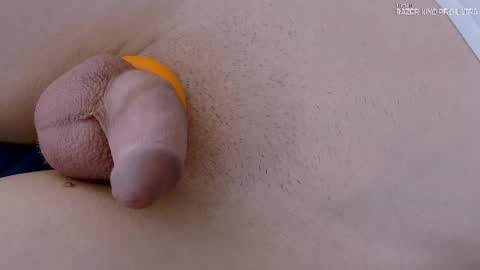 Snapshot of dilldough405 chatting on 11, 9, 2025 Dilldough405 online show from 11, 9, 2025