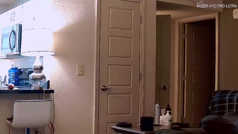 Snapshot of dilldough405 chatting on 21, 9, 2025 Dilldough405 online show from 21, 9, 2025