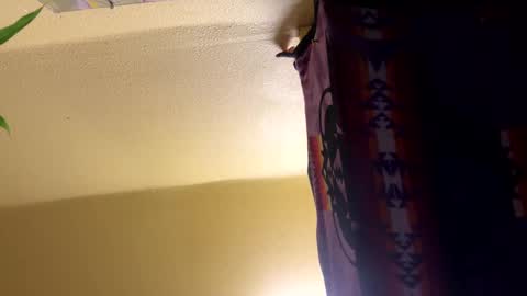 dimepiecebottom online show from 8, 12, 2024