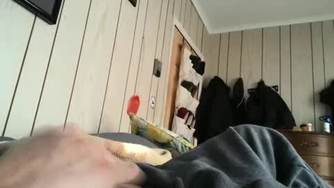 dingbat1979 online show from 24, 12, 2024