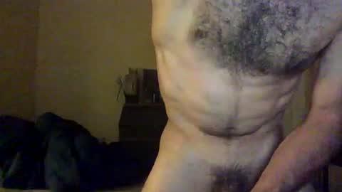 Dingler online show from 14, 7, 2026