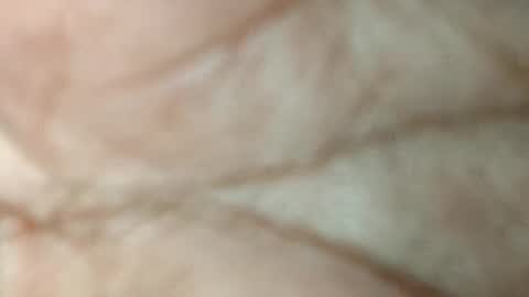 dyno online show from 17, 11, 2025