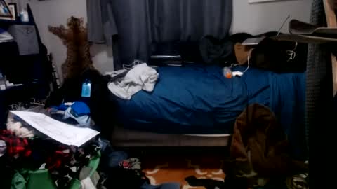 dinodick4uall online show from 6, 1, 2025