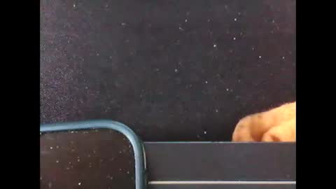 diogominer2 online show from 24, 11, 2025