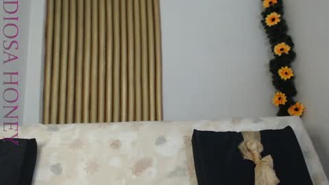 Diosa online show from 28, 1, 2025