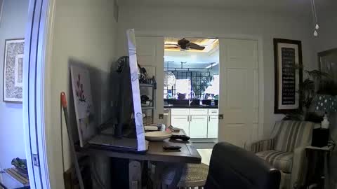 DirtkPitt Fun guy working online show from 3, 1, 2025