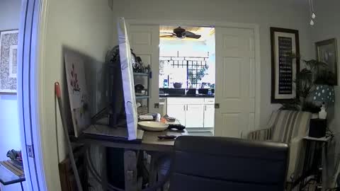 DirtkPitt Fun guy working online show from 3, 1, 2025