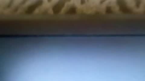 free4fun online show from 9, 4, 2026