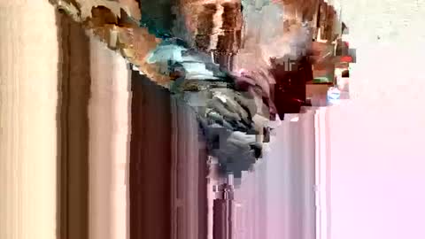 dirtmcgirt82 online show from 11, 2, 2025