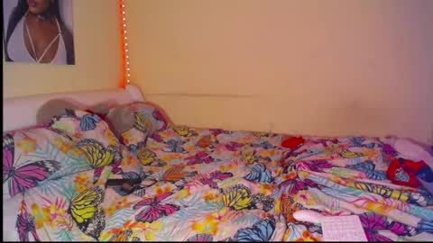 paradise online show from 21, 3, 2026