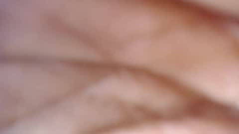 paradise online show from 22, 3, 2026