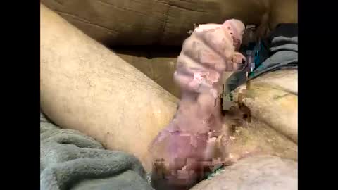 Snapshot of dirtykurty5000 chatting on 12, 9, 2025 Dirtykurty5000 online show from 12, 9, 2025