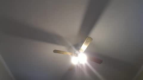 Your Best Worst Nightmare online show from 16, 12, 2024