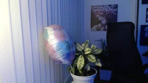 Snapshot of divineisis chatting on 8, 11, 2025 Hera online show from 8, 11, 2025