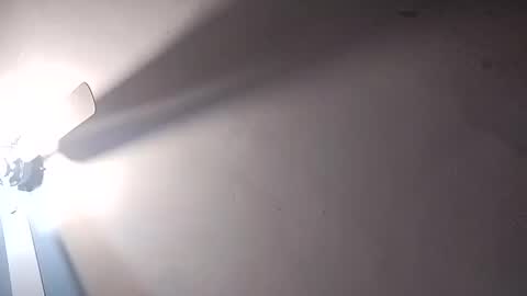 dixonbird41 online show from 25, 2, 2025