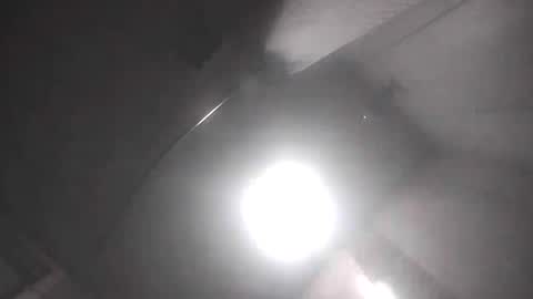 dixonbird41 online show from 17, 4, 2026