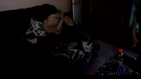 Hansel and Gretle online show from 4, 4, 2026