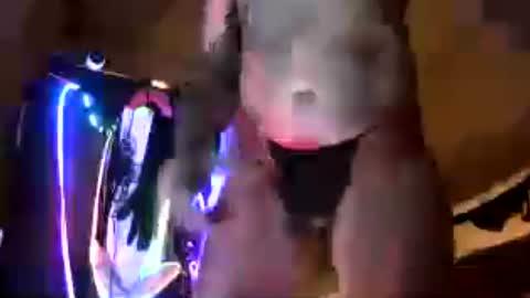 djceasar online show from 20, 7, 2026