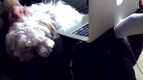 Snapshot of dkdad1966 chatting on 4, 12, 2025 DKdad online show from 4, 12, 2025