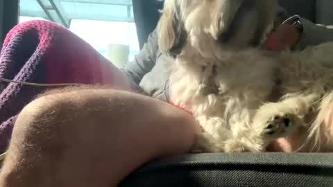 Snapshot of dkdad1966 chatting on 15, 12, 2025 DKdad online show from 15, 12, 2025