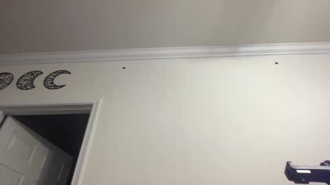 Snapshot of dlasian98 chatting on 28, 1, 2025 DL Asian Sissy online show from 28, 1, 2025