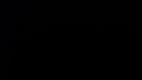 dmyacnt online show from 16, 11, 2025