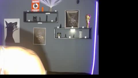 dober_manent online show from 18, 11, 2025