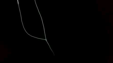 Snapshot of doctor_luv_69 chatting on 1, 1, 2025 doctor_luv_69 online show from 1, 1, 2025