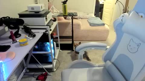 DOLLLFACE online show from 22, 3, 2026