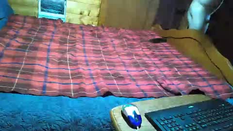 dolomois online show from 12, 2, 2025